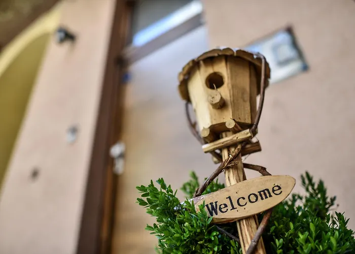 Corvin Point And Gæstehus